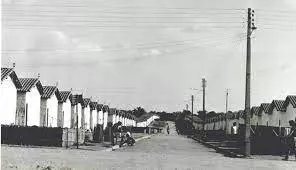 Conheça algumas curiosidades sobre bairro Dirceu Arcoverde - 